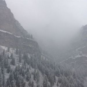 Meet your Posher, Nate